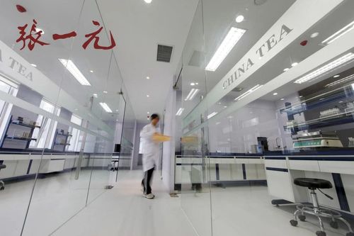2024中國(guó)茶企品牌價(jià)值Top10風(fēng)采展示 百年張一元榮登榜，現(xiàn)代琳龍物流展新篇